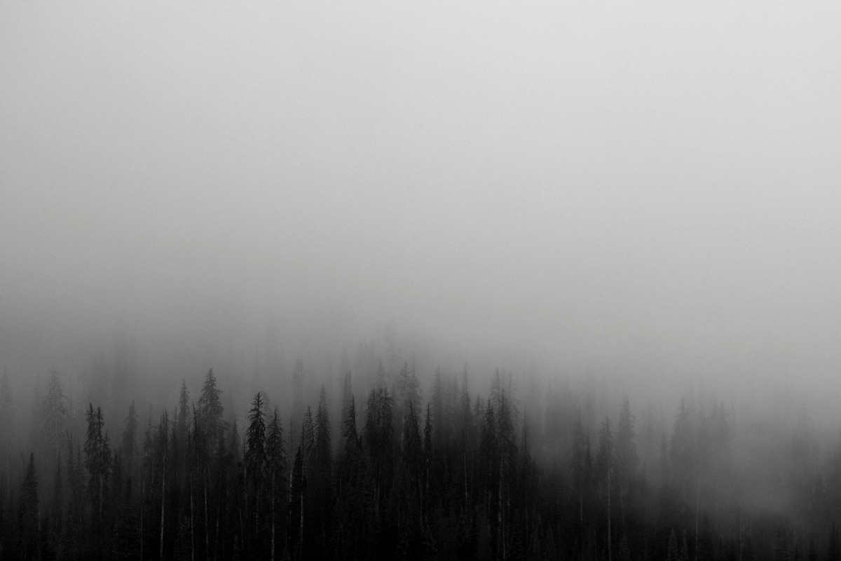 Los Angeles Welcomes Early Summer with Morning Fog and Pleasant