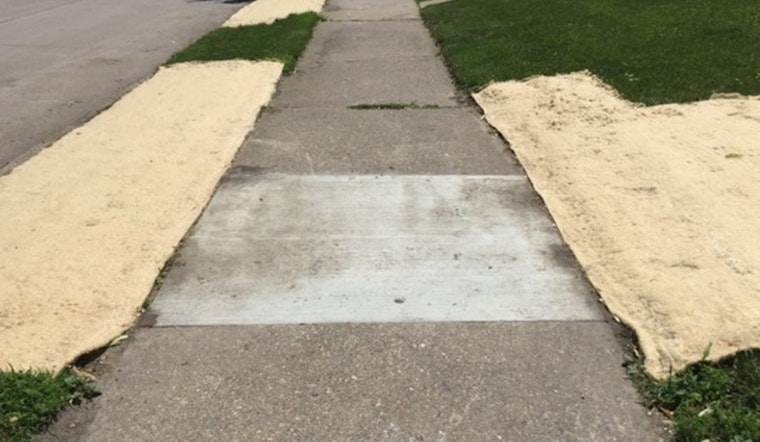 Lynnhurst Neighborhood Anticipates Tidier Sidewalks and Lusher Lawns Post-Construction by End of June
