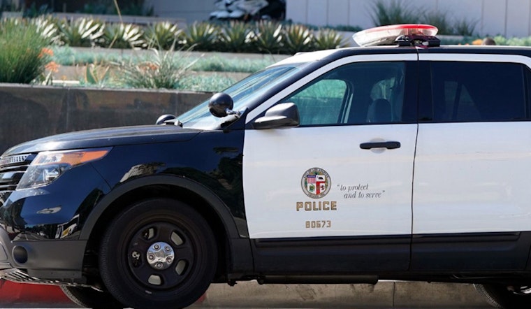 Man Takes to Bus Roof for Exercise Routine in Downtown Los Angeles Standoff