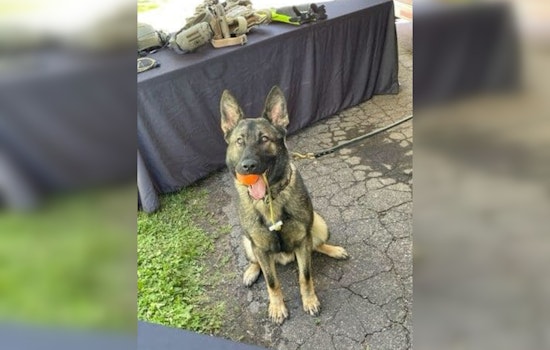 Mapleton Celebrates Community Spirit with Town and Country Days and New K9 Officer Introduction