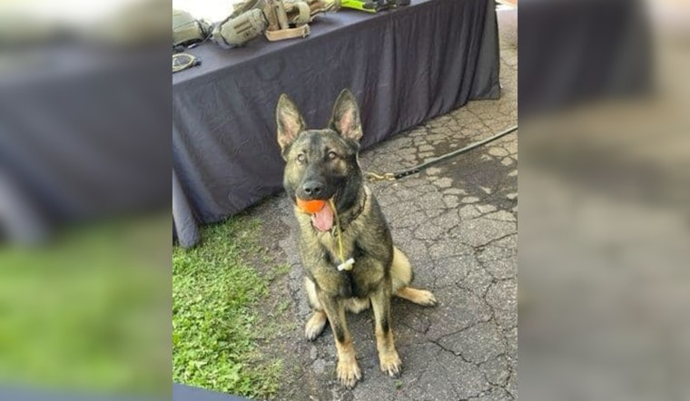 Mapleton Celebrates Community Spirit with Town and Country Days and New K9 Officer Introduction