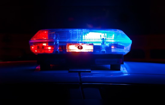 Martin County Shopper Robbed and Carjacked, Suspect Apprehended After Police Chase and Collision