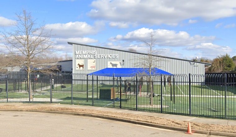 Memphis Animal Services Director Ty Coleman on Leave Amid Scrutiny Over Dog's Heat-Related Death
