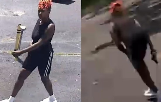 Memphis Woman Charged with Attempted Murder Following I-240 Road Rage Shooting and Chase