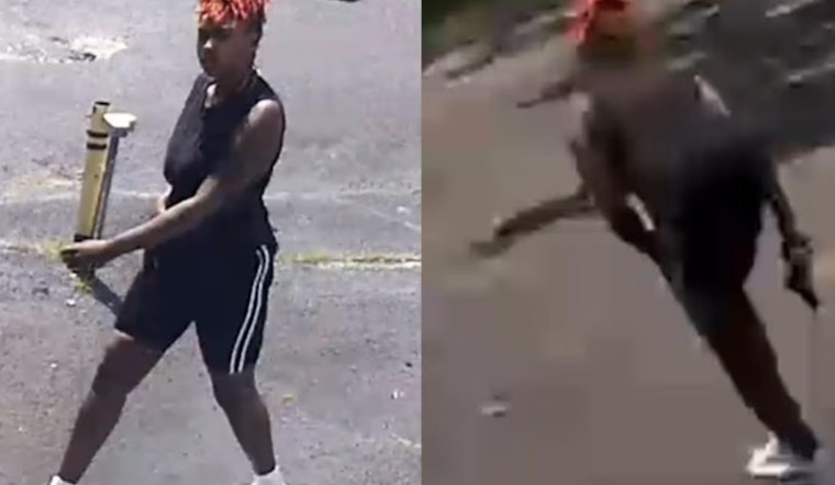 Memphis Woman Charged with Attempted Murder Following I-240 Road Rage Shooting and Chase