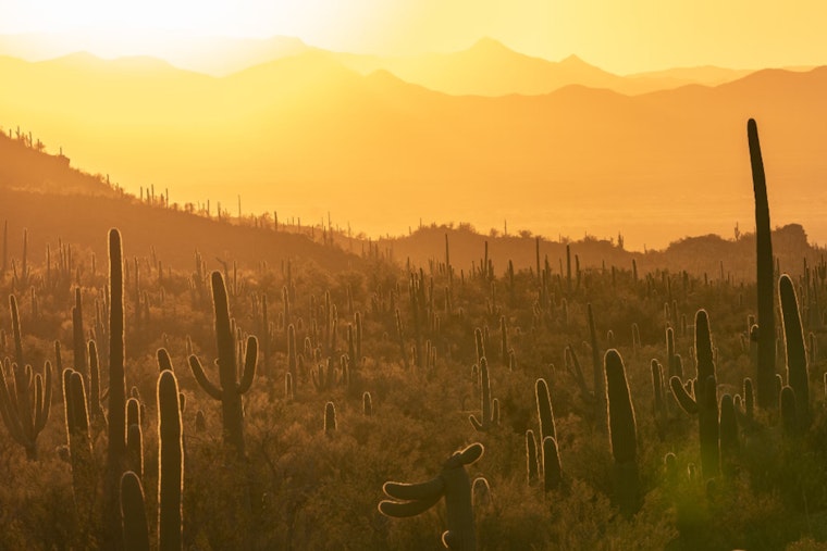 Mesa Mobilizes Against Summer Heat with Comprehensive Relief Efforts and Community Aid
