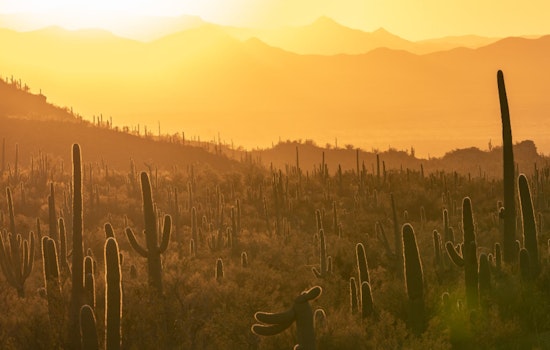 Mesa Mobilizes Against Summer Heat with Comprehensive Relief Efforts and Community Aid