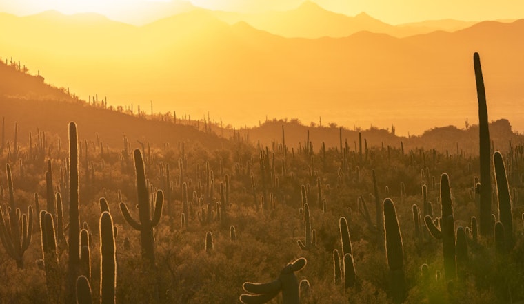 Mesa Mobilizes Against Summer Heat with Comprehensive Relief Efforts and Community Aid