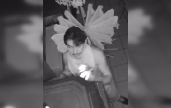 Metro Nashville Police Seek Public's Assistance to Identify Suspects in Antioch Bubble Tea Shop Burglary