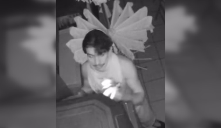 Metro Nashville Police Seek Public's Assistance to Identify Suspects in Antioch Bubble Tea Shop Burglary