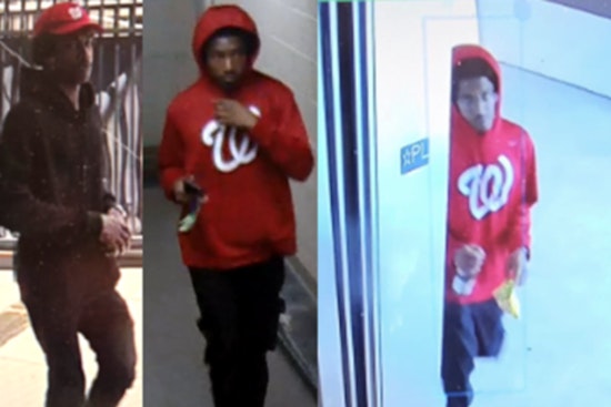 Metropolitan Police Department Seeks Suspect in Series of Thefts near Nationals Park
