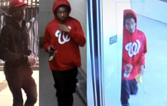 Metropolitan Police Department Seeks Suspect in Series of Thefts near Nationals Park