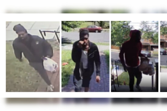 Metropolitan Police Seek Public Help in Identifying Suspect in Northeast D.C. Package Thefts