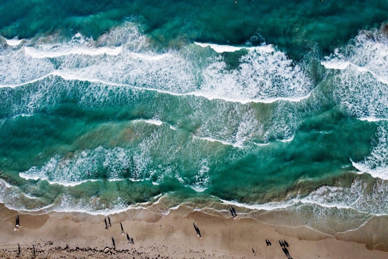 Miami Beach Celebrates World Ocean Day with Community Action and Awareness Events