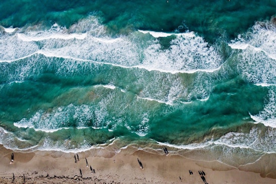 Miami Beach Celebrates World Ocean Day with Community Action and Awareness Events