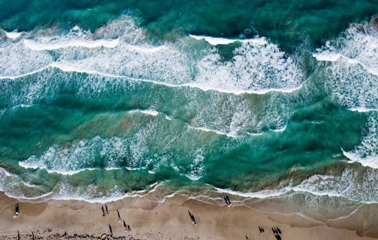 Miami Beach Celebrates World Ocean Day with Community Action and Awareness Events