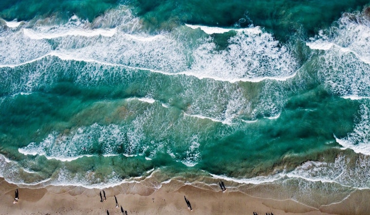 Miami Beach Celebrates World Ocean Day with Community Action and Awareness Events