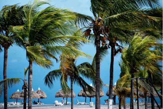 Miami Braces for Breezy and Seasonable Saturday, Showers Loom for Sunday
