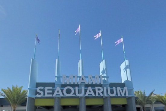 Miami-Dade County Sues to Evict Miami Seaquarium Operators Over Animal Welfare Concerns