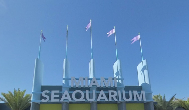 Miami-Dade County Sues to Evict Miami Seaquarium Operators Over Animal Welfare Concerns