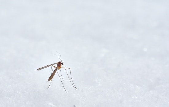 Miami-Dade Officials to Unveil Mosquito Control Strategies in Light of National Mosquito Control Awareness Week