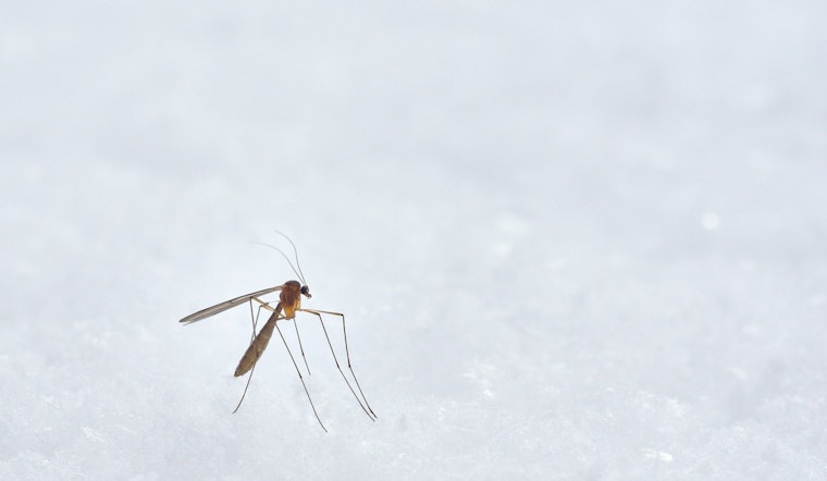 Miami-Dade Officials to Unveil Mosquito Control Strategies in Light of National Mosquito Control Awareness Week
