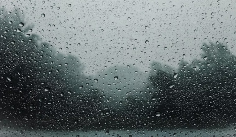 Miami Faces More Showers and Potential Thunderstorms, Drier Conditions Expected by Father's Day