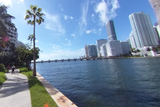 Miami Woman Braves Waters to Rescue Dog After Man Pushes Pet into Bay at Brickell Key