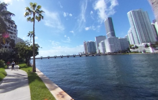 Miami Woman Braves Waters to Rescue Dog After Man Pushes Pet into Bay at Brickell Key