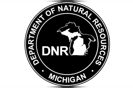 Michigan DNR Euthanizes Over 31,000 Atlantic Salmon Amid Bacterial Disease Outbreak