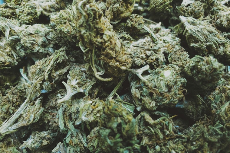 Minneapolis Deliberates Zoning Standards for Upcoming Legal Cannabis Industry