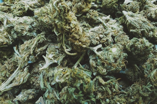 Minneapolis Deliberates Zoning Standards for Upcoming Legal Cannabis Industry