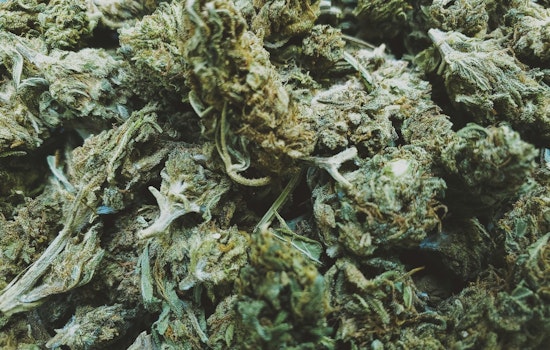 Minneapolis Deliberates Zoning Standards for Upcoming Legal Cannabis Industry