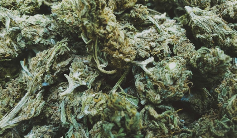 Minneapolis Deliberates Zoning Standards for Upcoming Legal Cannabis Industry