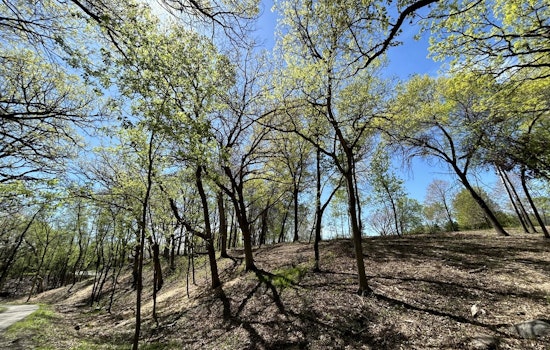Minnetonka's Ford Park Flourishes Post-Invasive Species Clearing
