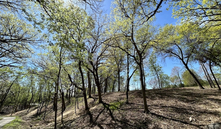 Minnetonka's Ford Park Flourishes Post-Invasive Species Clearing