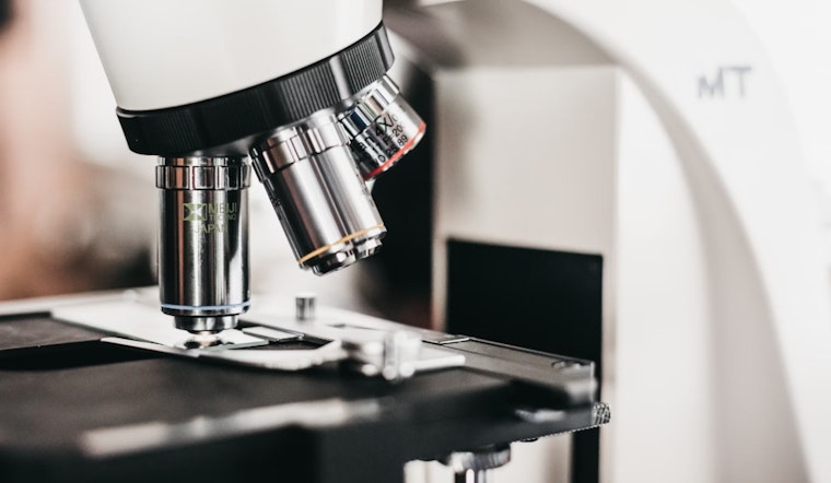 MIT Researchers Unleash Revolutionary "mosTF" Microscope to Unmask Neuron Secrets