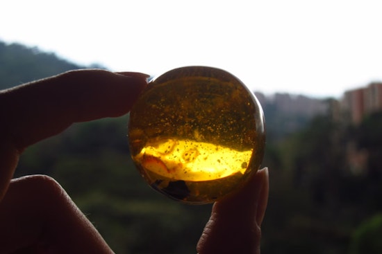 MIT Scientists Achieve Jurassic Park-Inspired DNA Storage Breakthrough with Amber Polymer
