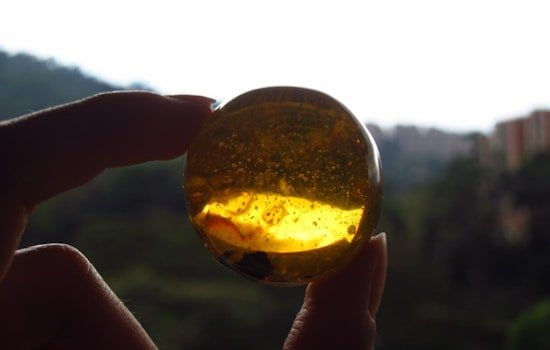 MIT Scientists Achieve Jurassic Park-Inspired DNA Storage Breakthrough with Amber Polymer