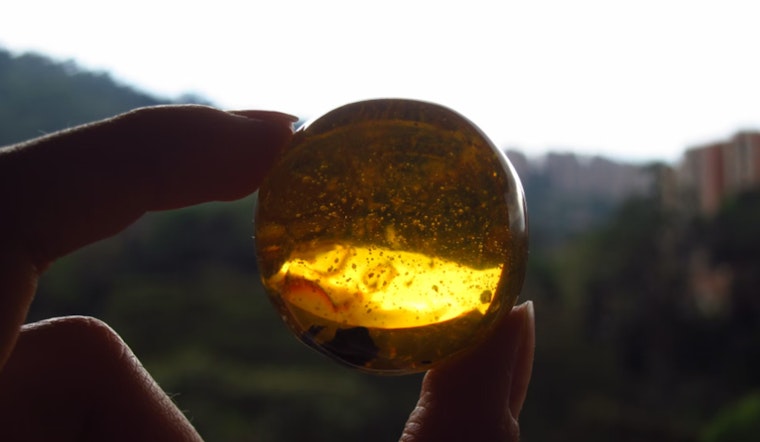 MIT Scientists Achieve Jurassic Park-Inspired DNA Storage Breakthrough with Amber Polymer