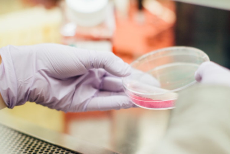 MIT Scientists Tackle Drug-Resistant Bacteria with Water-Soluble Enzyme