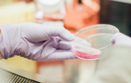 MIT Scientists Tackle Drug-Resistant Bacteria with Water-Soluble Enzyme