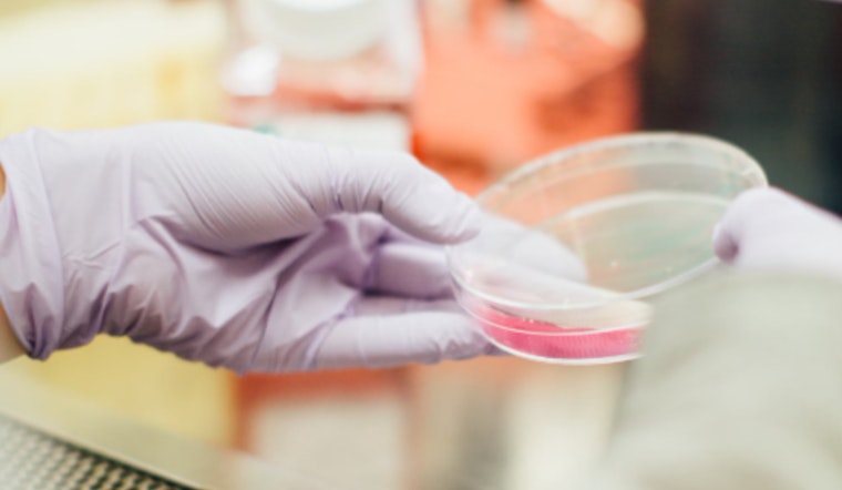 MIT Scientists Tackle Drug-Resistant Bacteria with Water-Soluble Enzyme