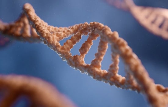 MIT Unveils New RNA Mapping Technique with Disease Treatment Implications