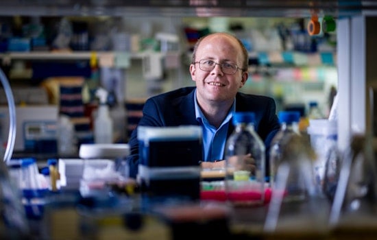 MIT's Michael Birnbaum Spearheads Innovative T Cell Research to Enhance Cancer Treatment Strategies