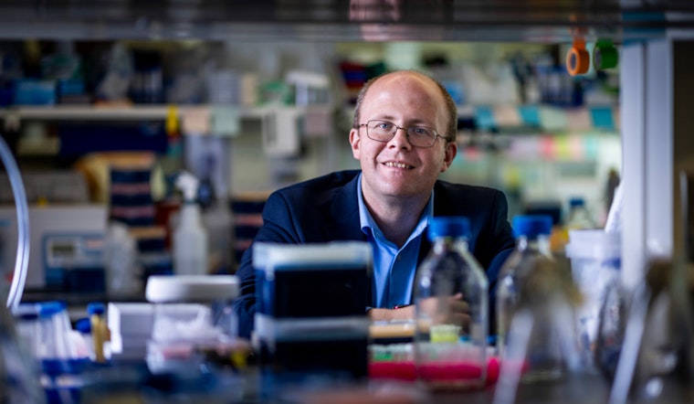 MIT's Michael Birnbaum Spearheads Innovative T Cell Research to Enhance Cancer Treatment Strategies