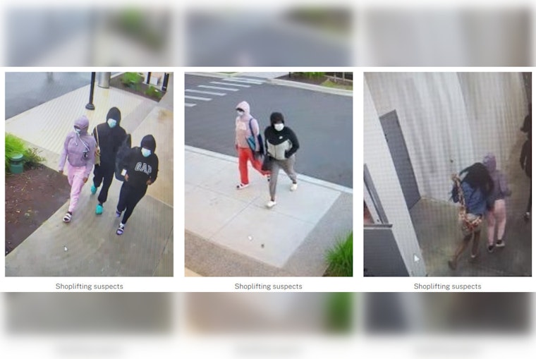 Nashville Police Seek Four Suspects in Attempted Theft at Tanger Outlet's Perfumania