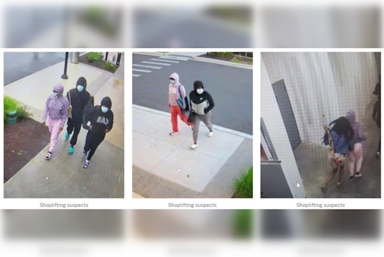 Nashville Police Seek Four Suspects in Attempted Theft at Tanger Outlet's Perfumania