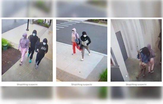 Nashville Police Seek Four Suspects in Attempted Theft at Tanger Outlet's Perfumania