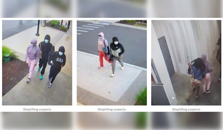 Nashville Police Seek Four Suspects in Attempted Theft at Tanger Outlet's Perfumania